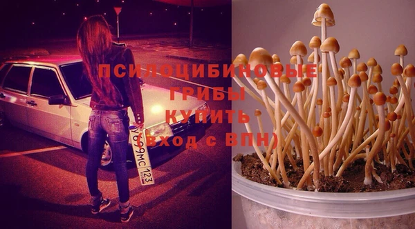 синтетический гашиш Армянск
